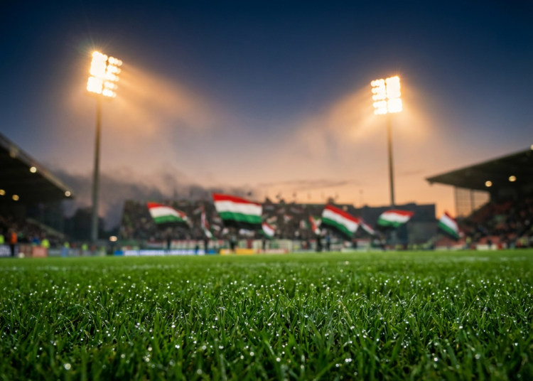 Voorbeschouwing bekerfinale: AZ en NEC strijden zondag in De Kuip om de KNVB Beker
