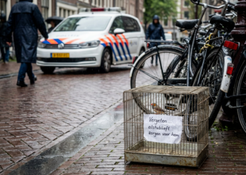 Vrouw die zebravink met briefje achterliet meldt zich, dierenopvang stapt naar politie