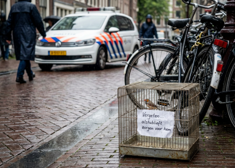 Vrouw die zebravink met briefje achterliet meldt zich, dierenopvang stapt naar politie