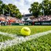 Sterk deelnemersveld Libéma Open: Wimbledonkampioen en oud-winnaars naar het Brabantse gras