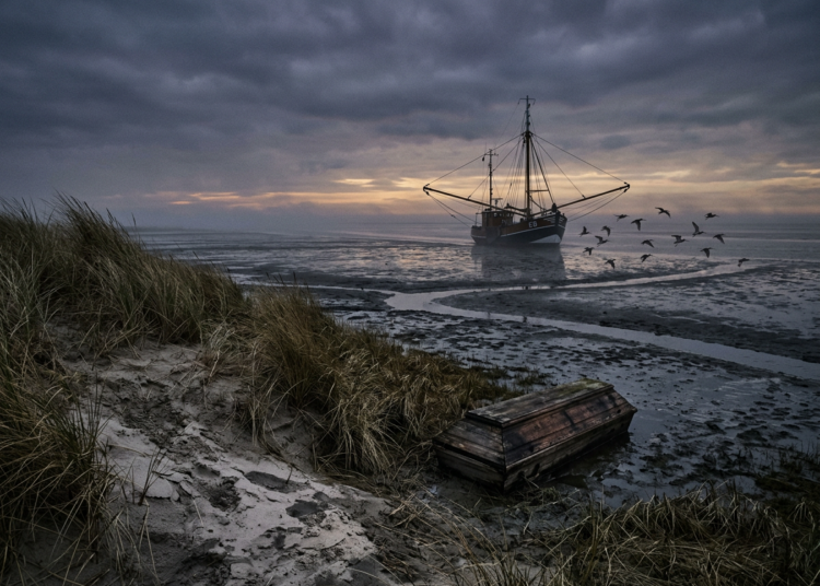 Duistere geheimen en doden in het slik: nieuwe Waddenthriller 'Eb' in de bioscopen