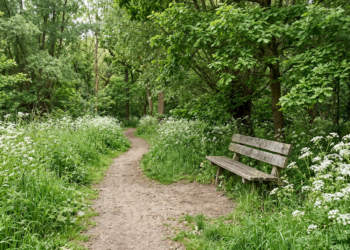 Verborgen oase van rust: Het Heempark blijft voor velen een onontdekte parel